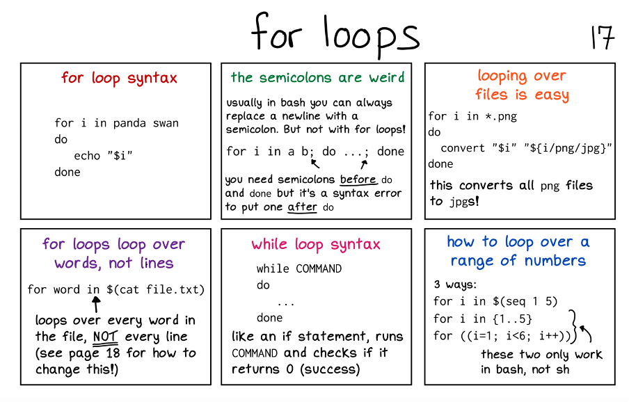 for_loop_bash