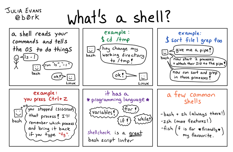 What_Shell